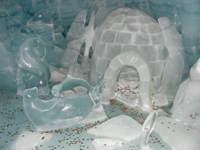 DSCF1155.JPG