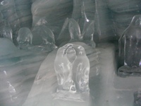 DSCF1159.JPG