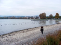 DSCF1332.JPG