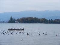 DSCF1333.JPG