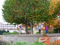 DSCF1334.JPG