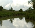 NarrowboatBridge
