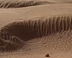 Sahara