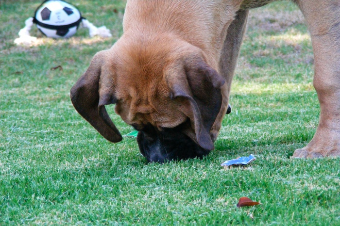 DSCF1011.JPG