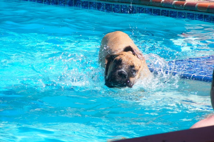 DSCF1050.JPG