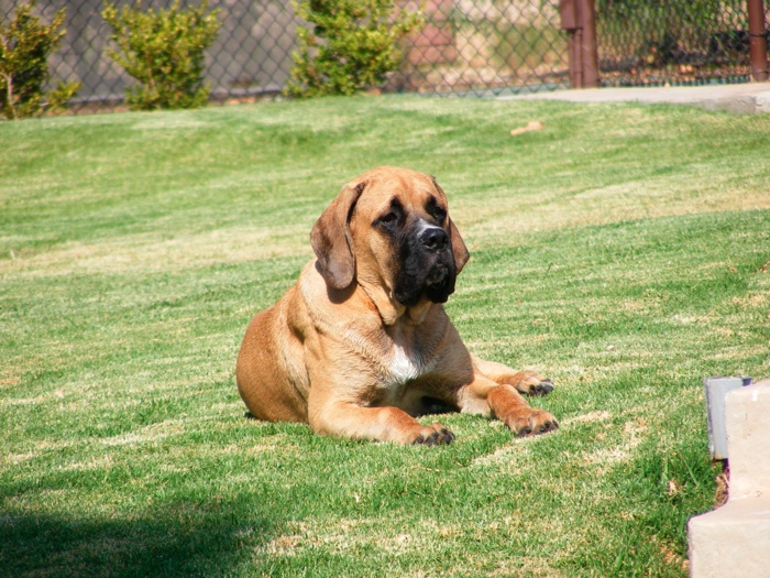 DSCF1051.JPG