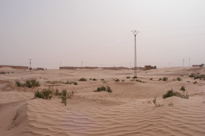 DSCF2514.JPG