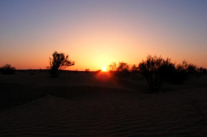 DSCF2651.JPG