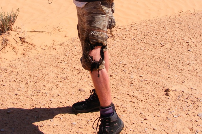 DSCF2660.JPG