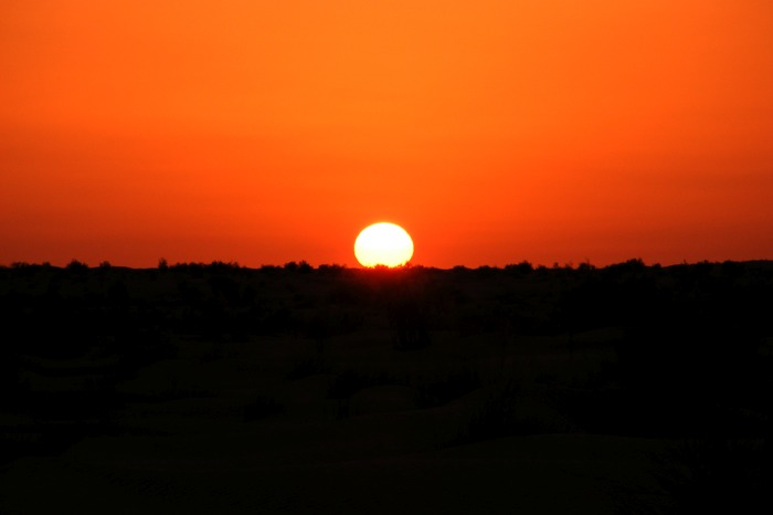 DSCF2721.JPG