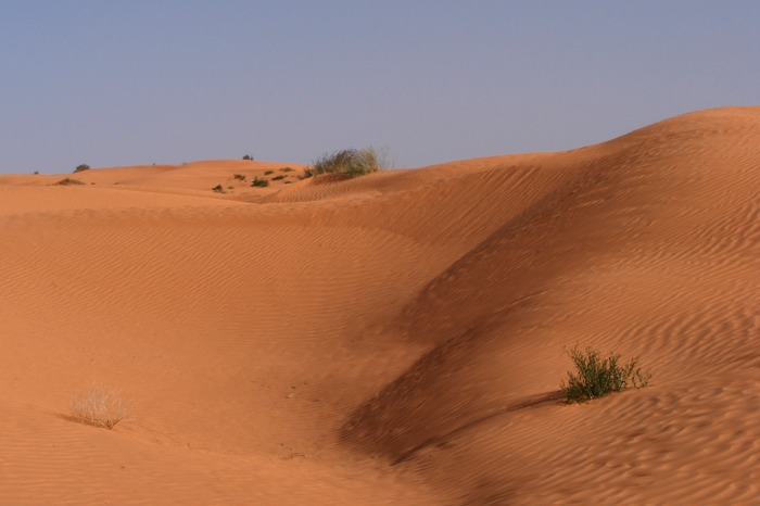 DSCF2751.JPG