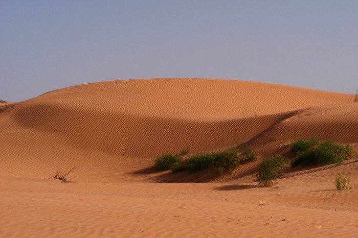 DSCF2755.JPG