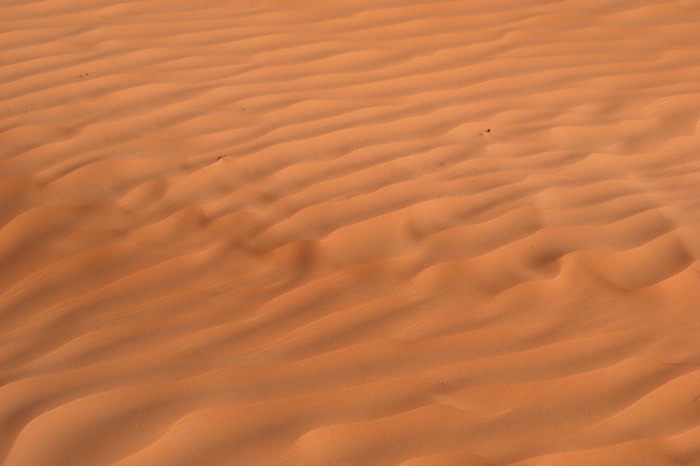 DSCF2756.JPG