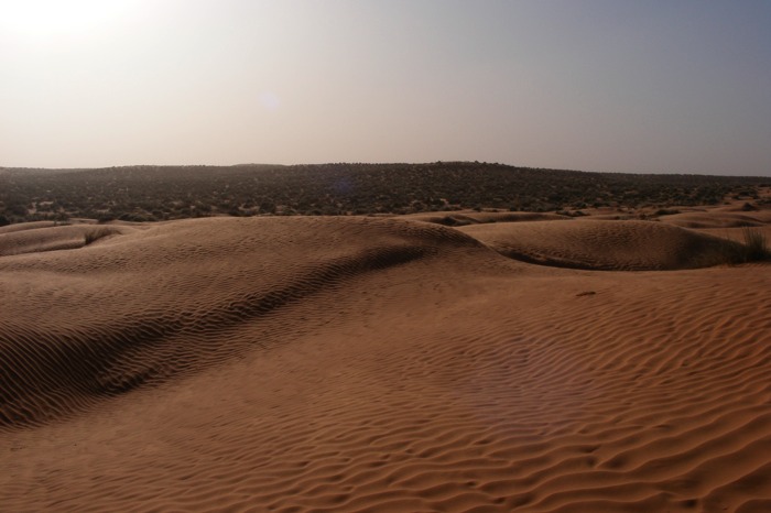 DSCF2777.JPG