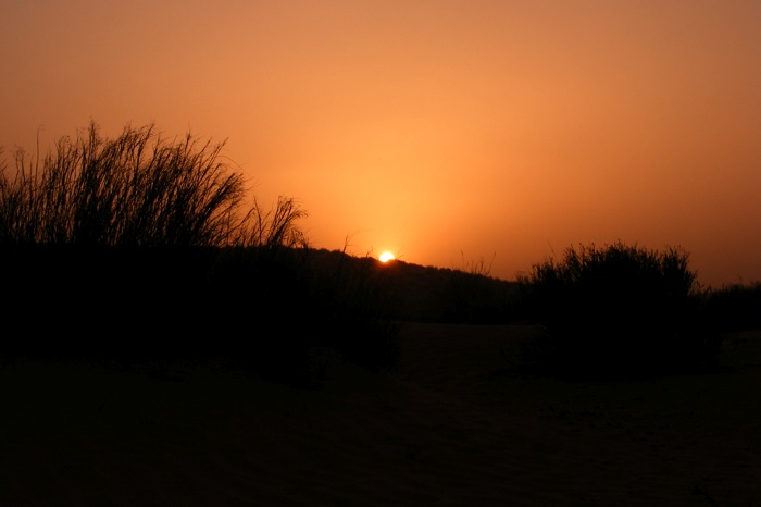 DSCF2790.JPG