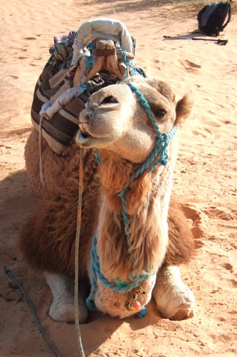 Sahara105.JPG