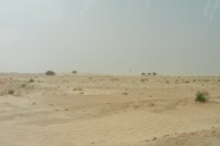 DSCF2505.JPG