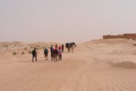 DSCF2518.JPG