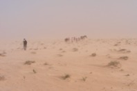 DSCF2520.JPG