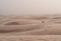 DSCF2522.JPG