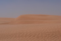 DSCF2539.JPG