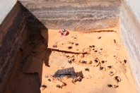 DSCF2590.JPG