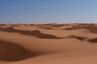 DSCF2598.JPG