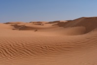 DSCF2604.JPG