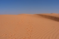 DSCF2605_1.JPG