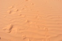DSCF2626.JPG