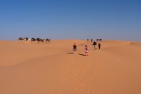 DSCF2636.JPG