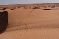 DSCF2642.JPG