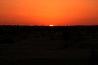 DSCF2727.JPG