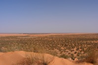 DSCF2745.JPG