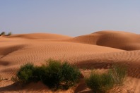 DSCF2754.JPG