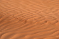 DSCF2756.JPG