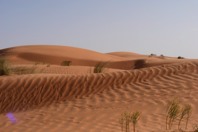 DSCF2758.JPG