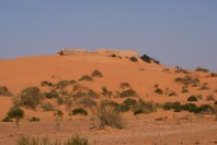 DSCF2761.JPG