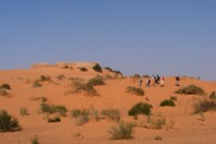 DSCF2763.JPG