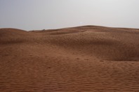 DSCF2802.JPG