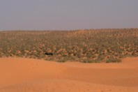DSCF2804.JPG