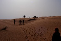 DSCF2805.JPG